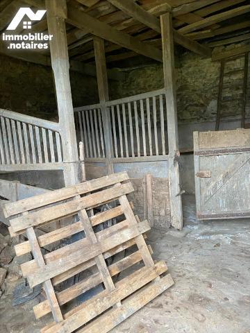 CORPS DE FERME - 3 hectares