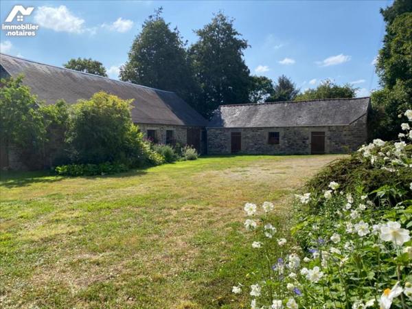 CORPS DE FERME - 3 hectares