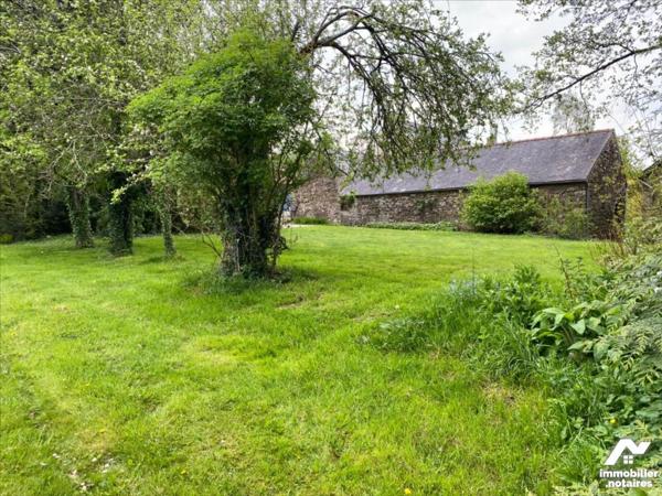 CORPS DE FERME - 3 hectares