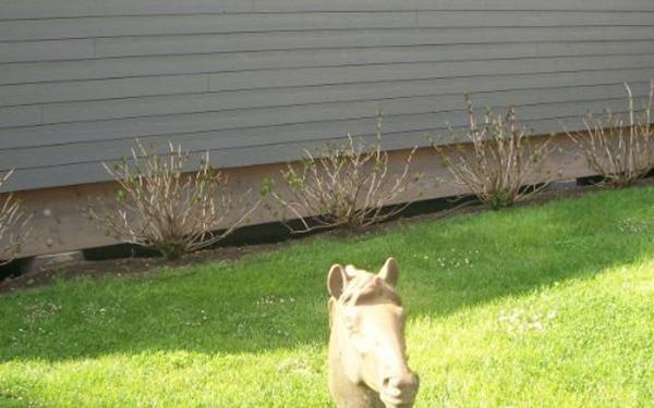 Maison à vendre    5 pièces •  La Ferté-Saint-Cyr