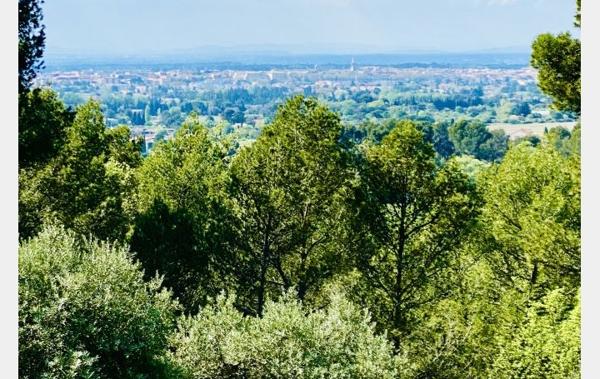 Vente Villa parc de 25000 m2 Carpentras   