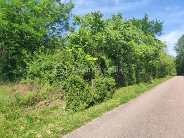 Terrain de 3 630 m²