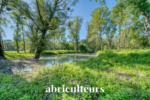 Propriété de caractère 270 m² avec piscine à Saint Laurent de Cognac