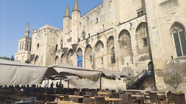 Avignon (84000) Appt de standing de 180 m2 dans l'ancien au dernier étage avec vue sur les toits à 550m du Palais des Papes