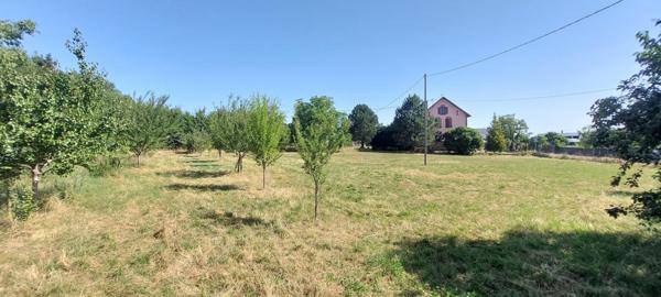 Beau terrain plat à bâtir de 11 ares à Dimbsthal