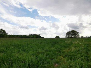Terrain de loisirs - Bois - Etang à vendre à Lagnicourt-Marcel dans le Pas-de-Calais (62159), ref : 62017-3256