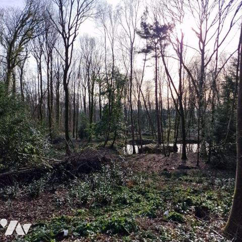 Nous vous proposons à la vente un bois d'une surface de 4ha 87a 97ca avec un chalet en bois à r...