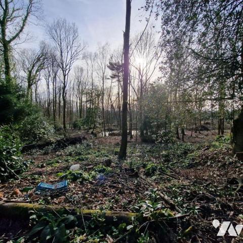 Nous vous proposons à la vente un bois d'une surface de 4ha 87a 97ca avec un chalet en bois à r...