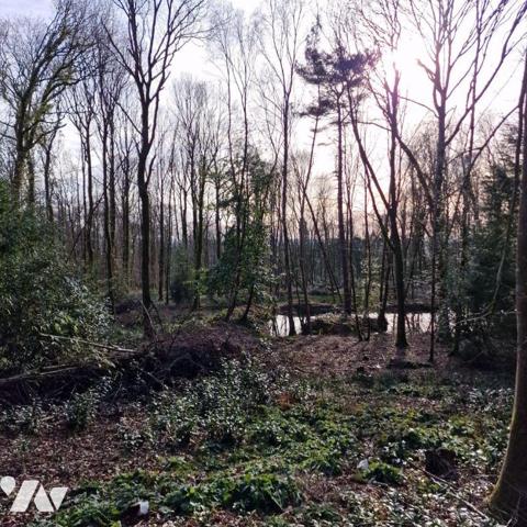 Nous vous proposons à la vente un bois d'une surface de 4ha 87a 97ca avec un chalet en bois à r...