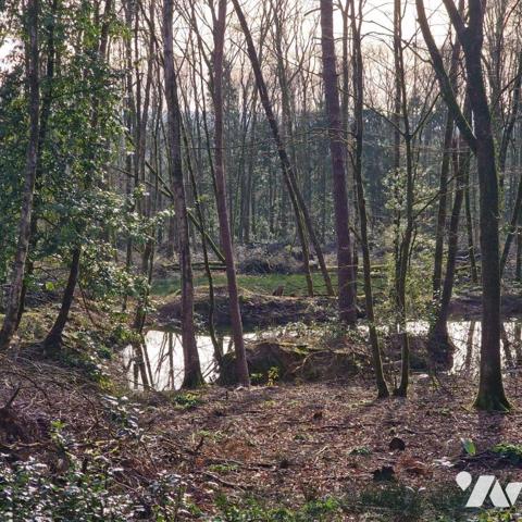 Nous vous proposons à la vente un bois d'une surface de 4ha 87a 97ca avec un chalet en bois à r...