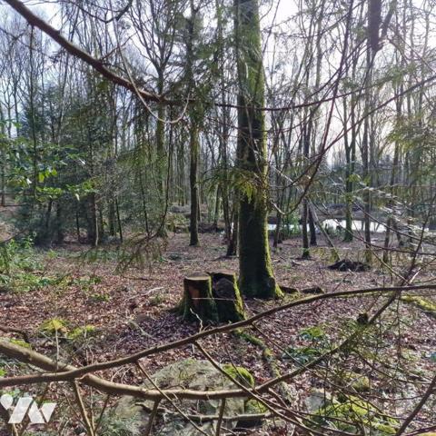 Nous vous proposons à la vente un bois d'une surface de 4ha 87a 97ca avec un chalet en bois à r...