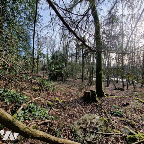 Nous vous proposons à la vente un bois d'une surface de 4ha 87a 97ca avec un chalet en bois à r...