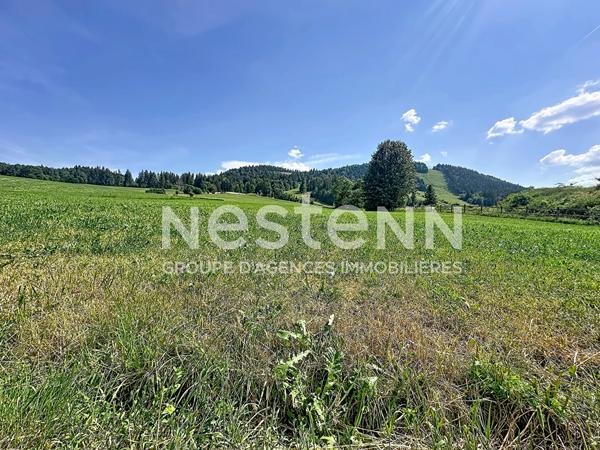 Lot 2 Appartements T2 à vendre à Métabief - Idéal investissement et proche de la frontière Suisse !