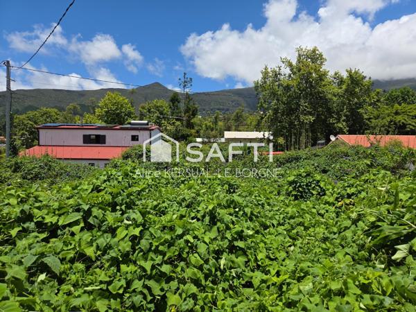 LA PLAINE-DES-PALMISTES Maison 2 chambres 72m² - Terrain 1048M²