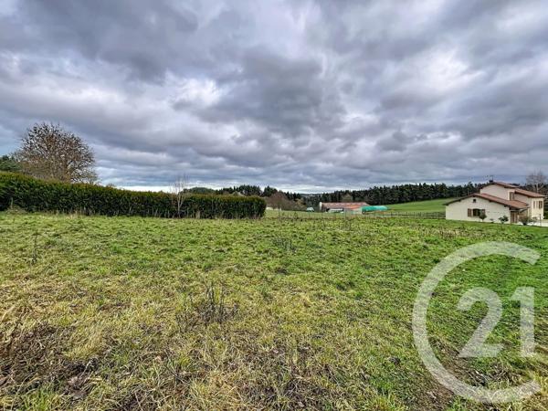 Terrain à vendre  1480 m2 GRAZAC - 43