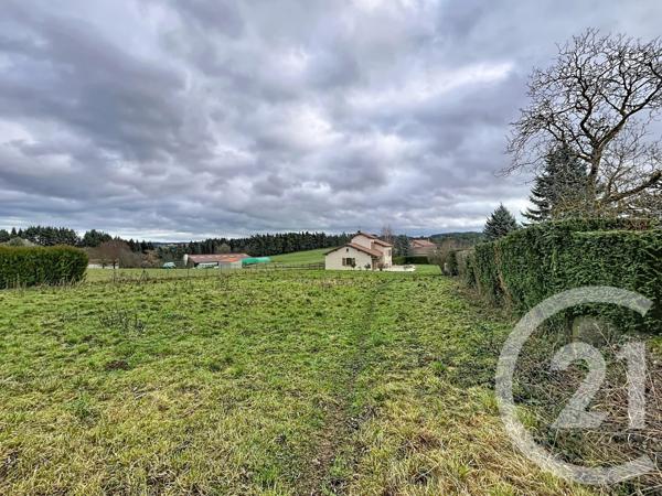 Terrain à vendre  1480 m2 GRAZAC - 43