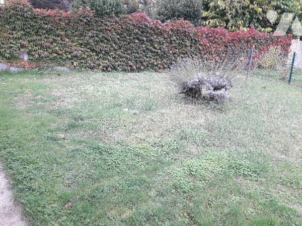 IDEAL GITE, CHAMBRES D'HOTES OU JEUNE COUPLE, PROCHE BEAUVAL