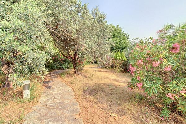 EXCLUSIVITE ! A VENDRE DRAGUIGNAN - Maison 10 pièces 239 m² avec piscine sur 4531 m² de terrain