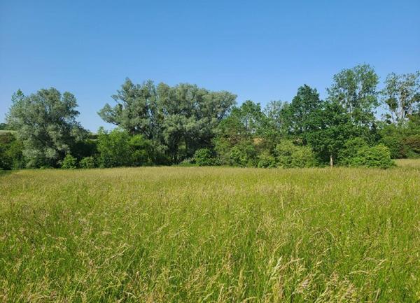 Terrain à vendre    1 311 m2 Meroux