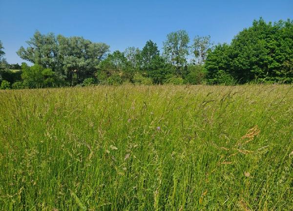 Terrain à vendre    1 311 m2 Meroux