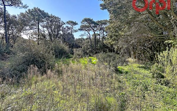 Terrain à vendre    Talmont-Saint-Hilaire