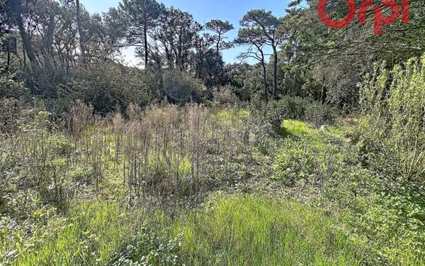 Terrain à vendre    Talmont-Saint-Hilaire