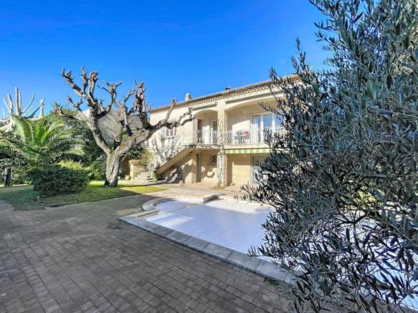 Idéal grande famille