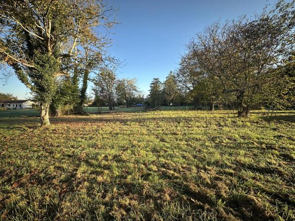 Vente Terrain 2000 m2 à Neuvic