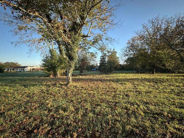 Vente Terrain 2000 m2 à Neuvic