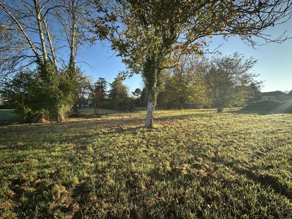 Vente Terrain 2000 m2 à Neuvic