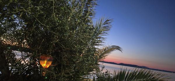 Face à l’étang, un écrin de lumière et de calme – Panorama unique & piscine