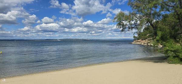 Face à l’étang, un écrin de lumière et de calme – Panorama unique & piscine