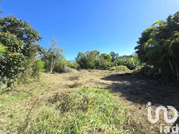 Terrain à vendre 457 m² Saint-Pierre