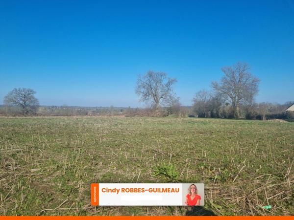 Terrain à bâtir viabilisé de 674 m² – Frênes - Tinchebray-Bocage 61800