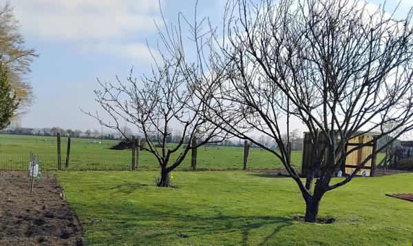 Maison + dépendance
