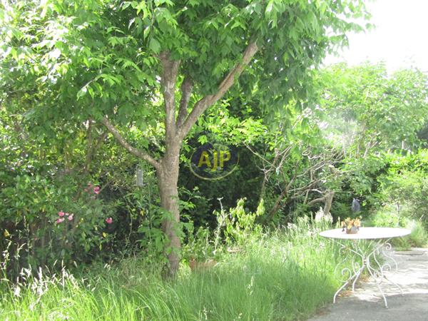 Vente maison Lacanau : 590 000 € - AJP Lacanau Immobilier
