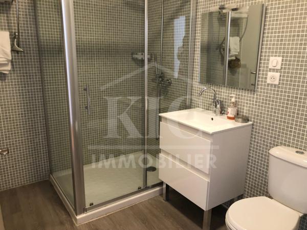CARCASSONNE - IMMEUBLE 210 M² - 2 STUDIOS + 1 APPARTEMENT 142 M² - COUR - GARAGE Détails des diagnostics énergétiques