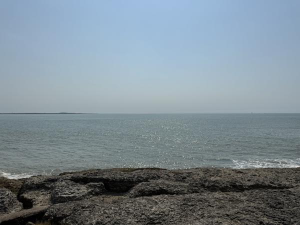 Appartement 3 pièce(s) 2 chambre(s) 56.62 m²