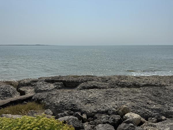 Appartement 3 pièce(s) 2 chambre(s) 56.62 m²