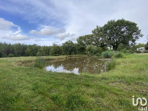 Maison à vendre 7 pièces 125 m² Avrillé