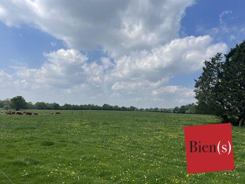 Terrain Agricole Louverné 17 ha 89 a 17 ca