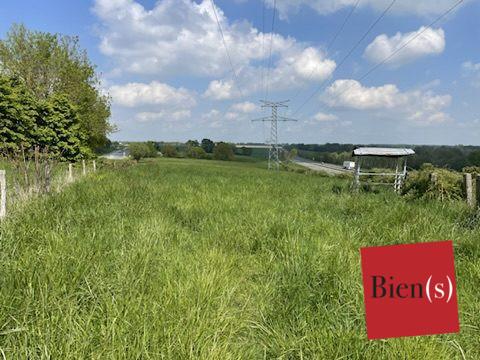 Terrain Agricole Louverné 17 ha 89 a 17 ca