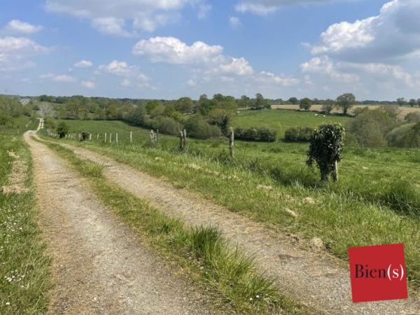 Terrain Agricole Louverné 17 ha 89 a 17 ca