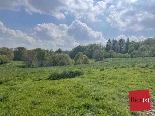 Terrain Agricole Louverné 17 ha 89 a 17 ca