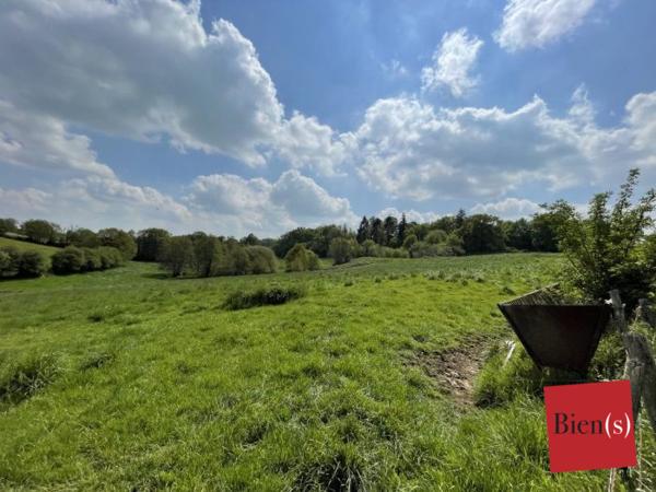 Terrain Agricole Louverné 17 ha 89 a 17 ca