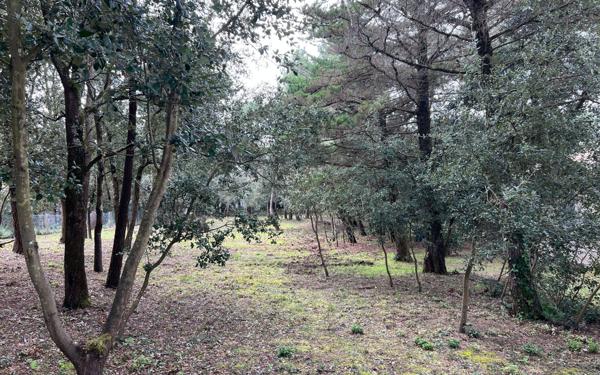 Terrain à vendre    Saint-Georges-d'Oléron