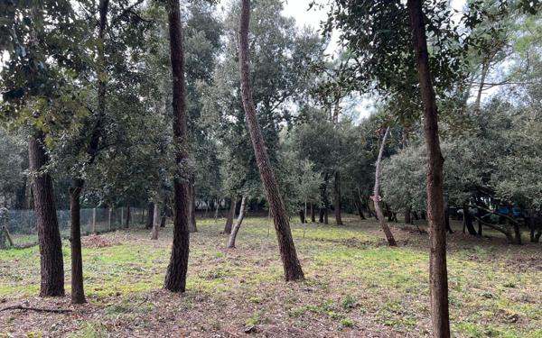 Terrain à vendre    Saint-Georges-d'Oléron