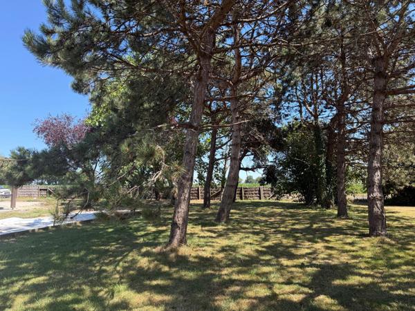 Terrain 1300 m² à Moisdon-la-Rivière (44)