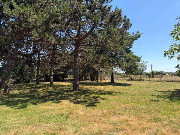 Terrain 1300 m² à Moisdon-la-Rivière (44)