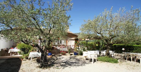 Vente murs et fonds de commerce – Restaurant avec fort potentiel à Condorcet